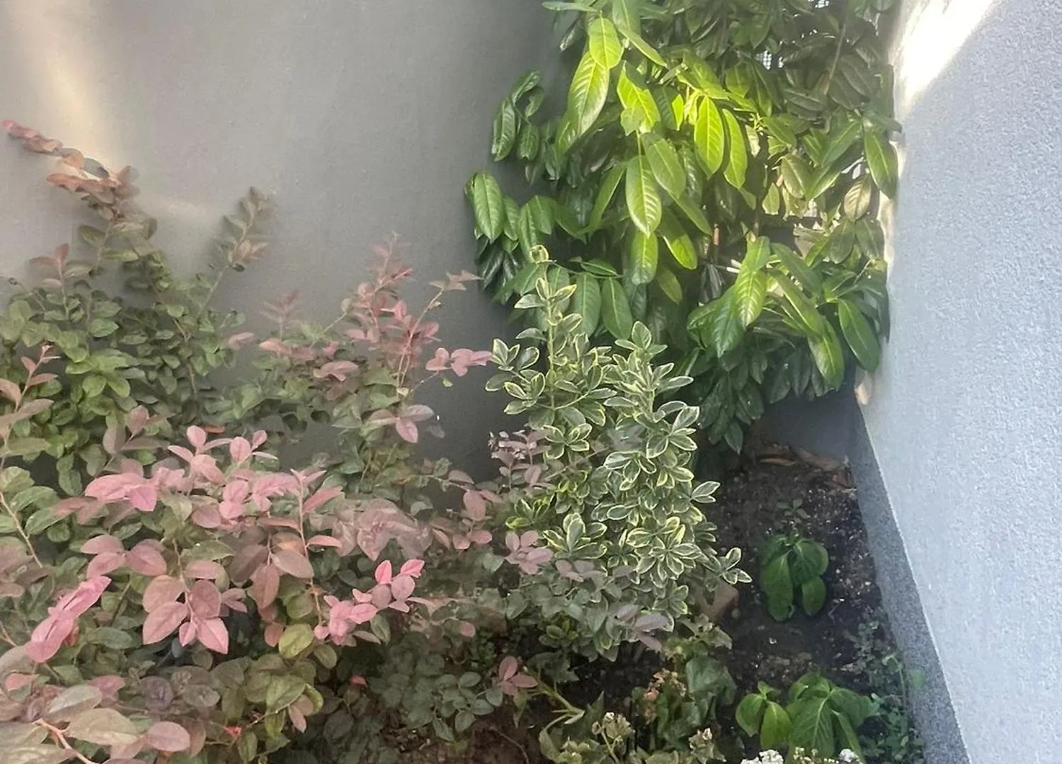 Apartment Maja Croatia